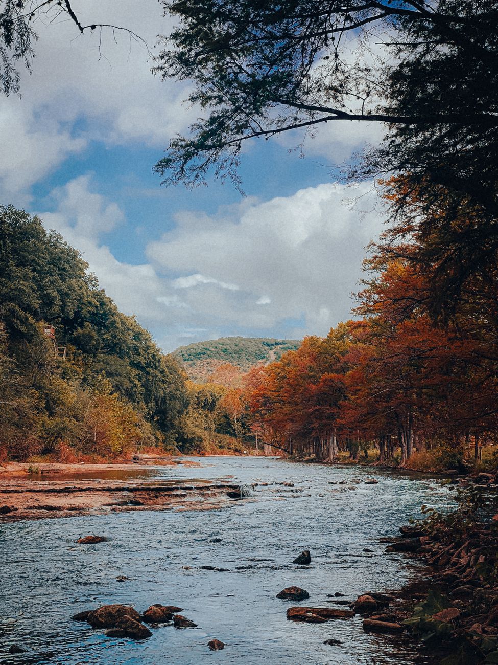 photo of a river between trees