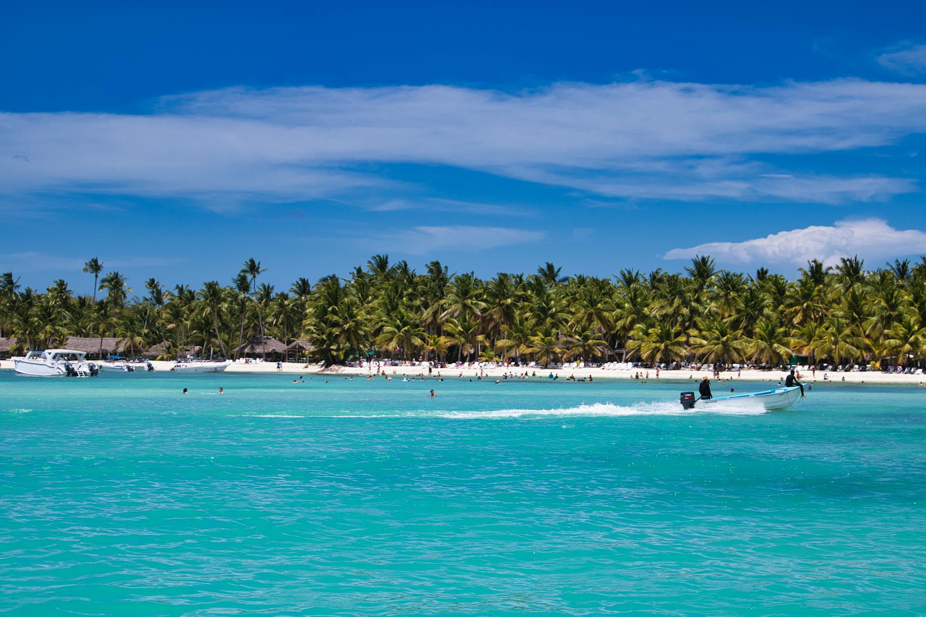 people on beach