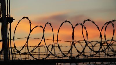 barbed wires on a fence