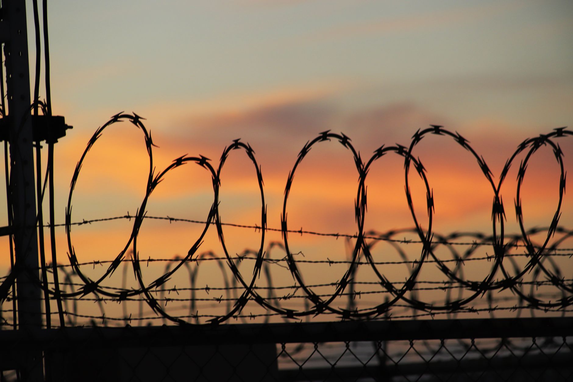 barbed wires on a fence