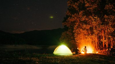 people camping near trees during night time