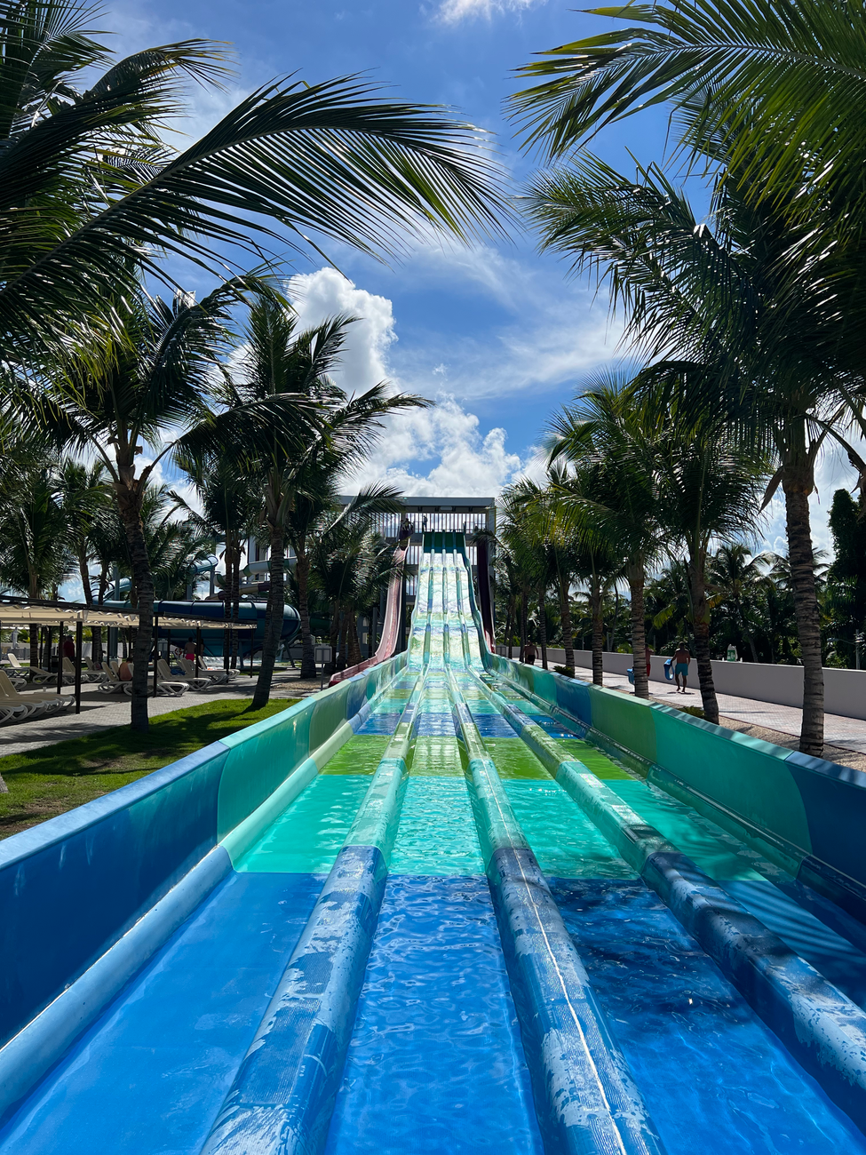 a waterpark surrounded with palm trees