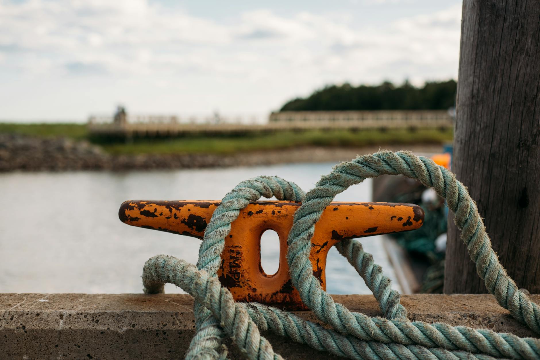 close up shot of a rope