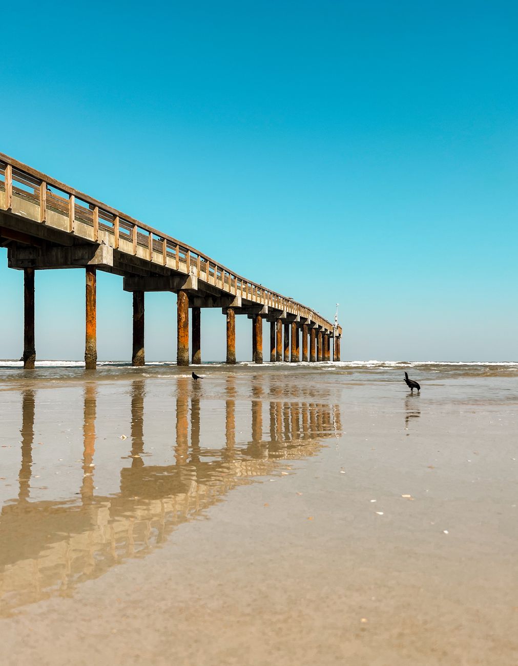photo of a pier