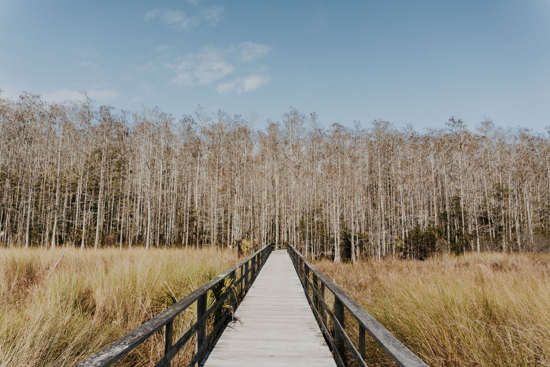 wooden bridge over the green grass field