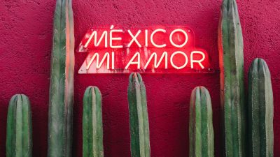 mexico mi amor writing on wall