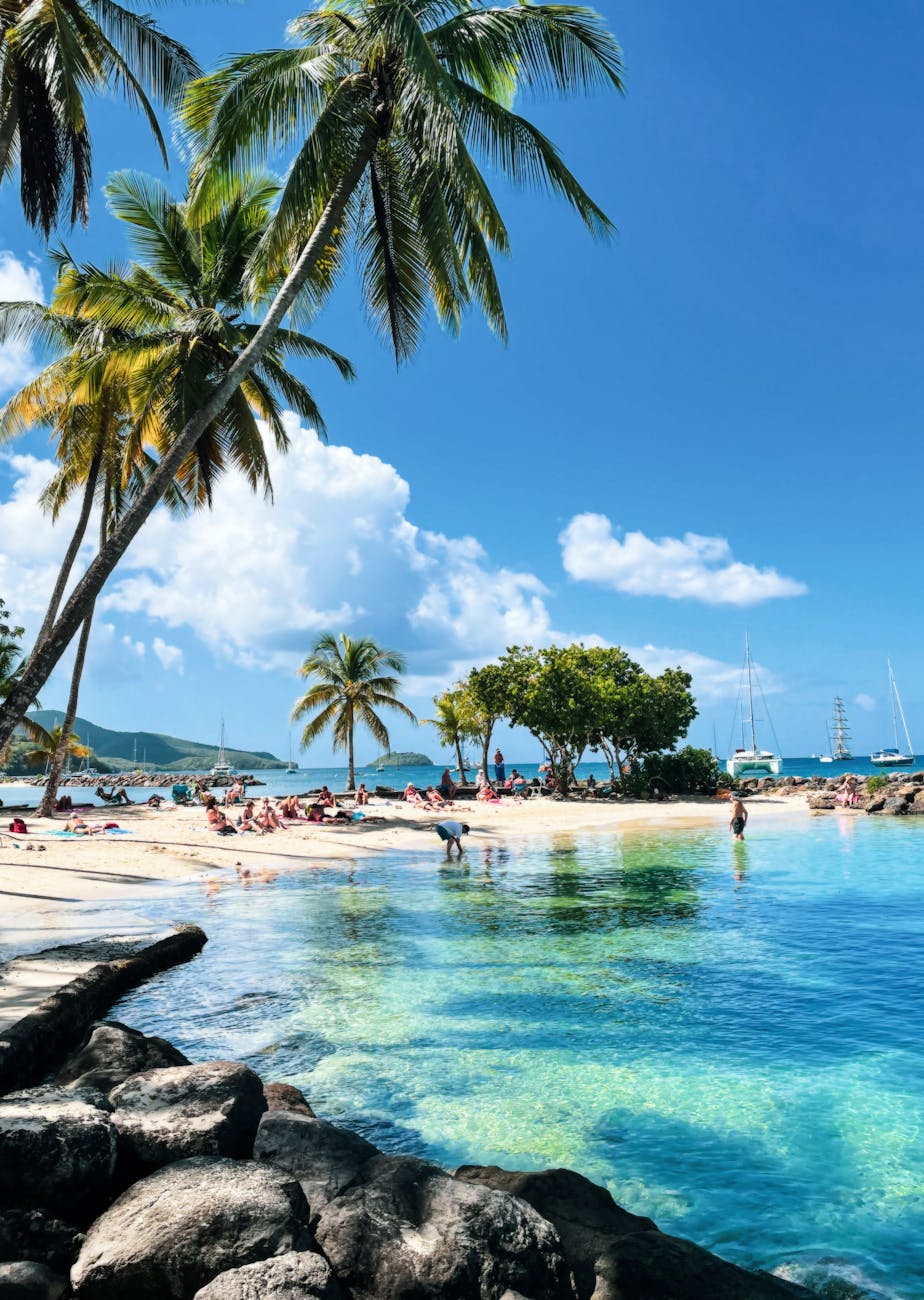 a people on the beach