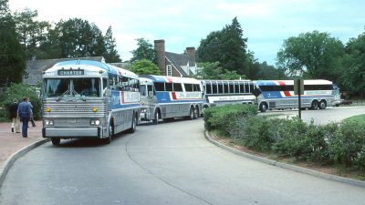 row of buses on a road