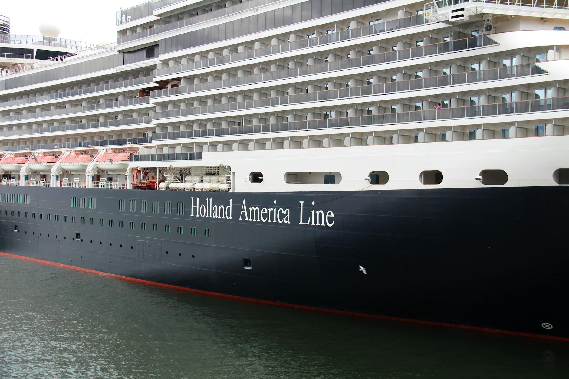 black and white cruise ship