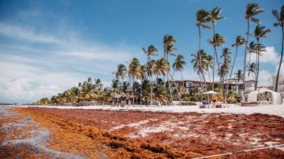 tropical beach after storm