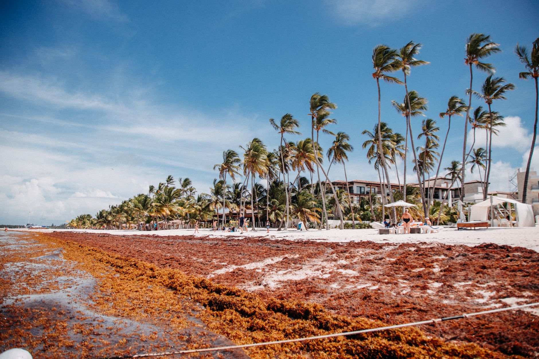 tropical beach after storm