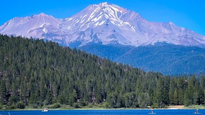 green trees near body of water under blue sky