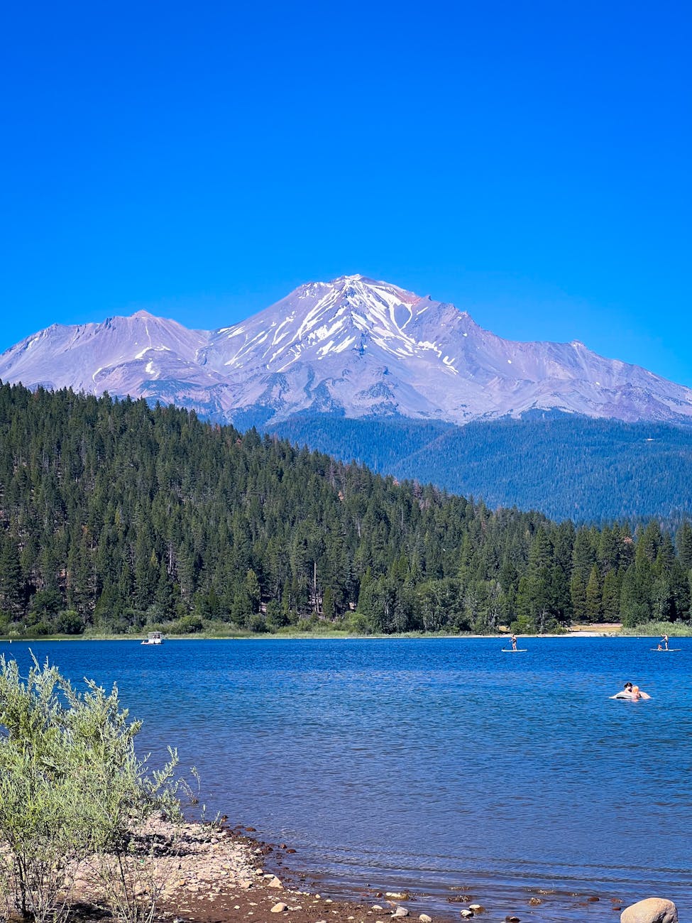 green trees near body of water under blue sky
