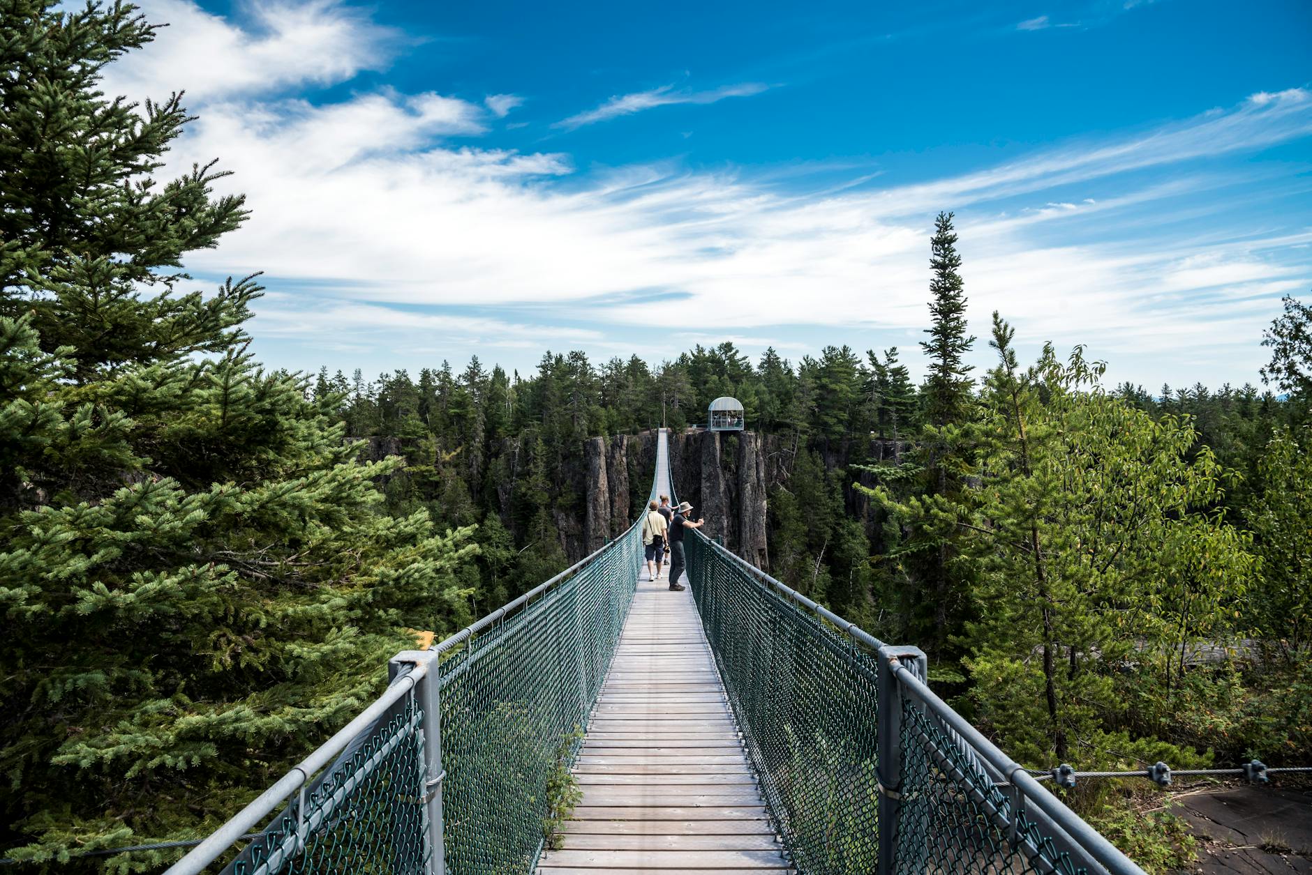 group of people on hanging bridge