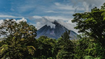 green trees covering the volcano