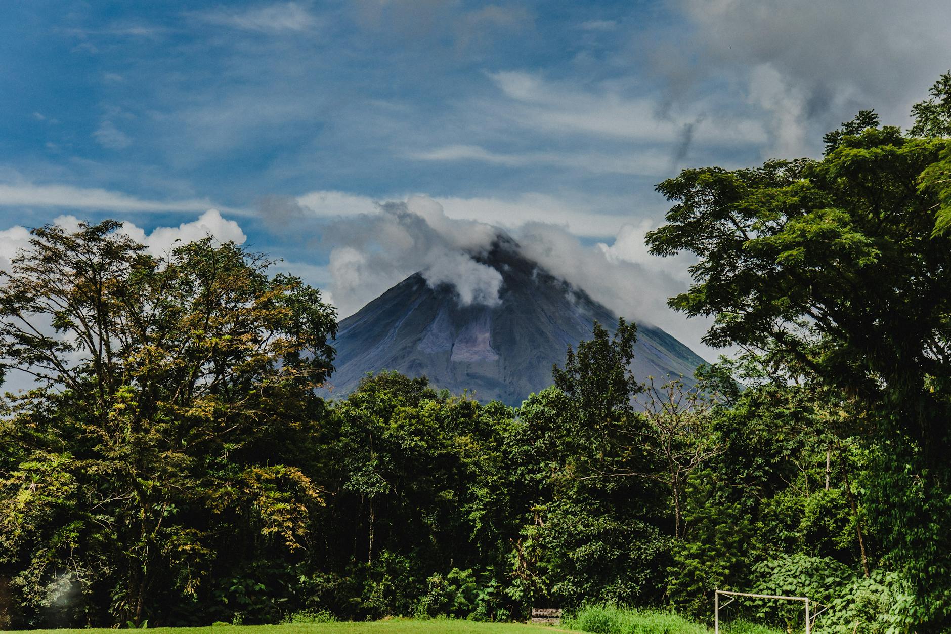 green trees covering the volcano