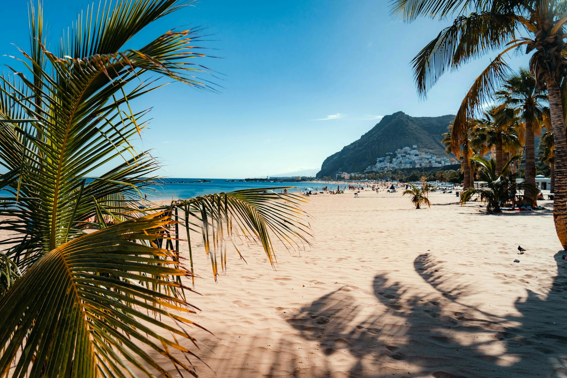 photo of the beach