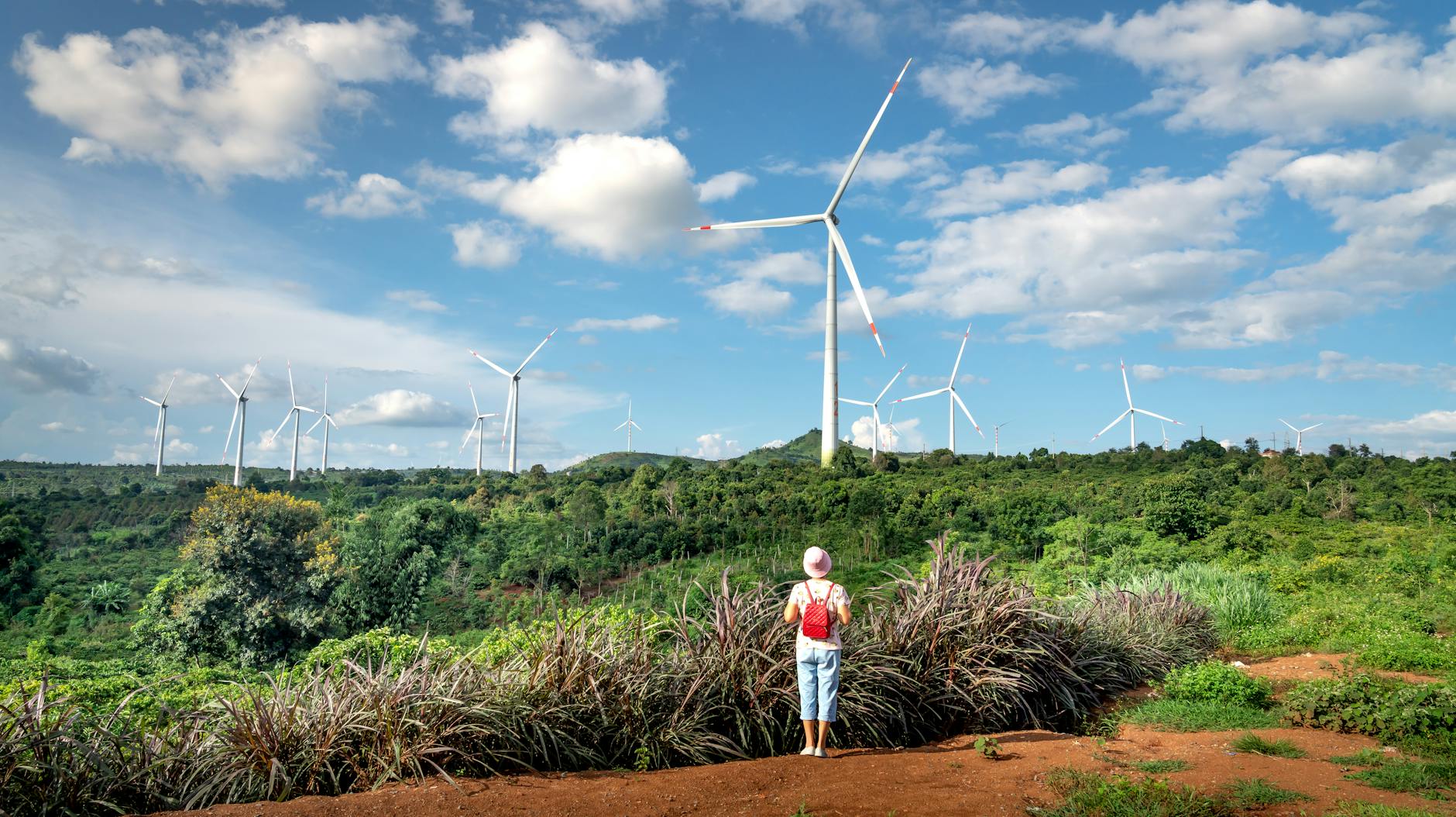 tourist looking at wind turbines