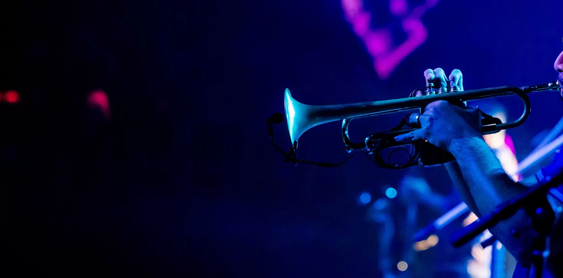 photo of a trumpeter during a concert