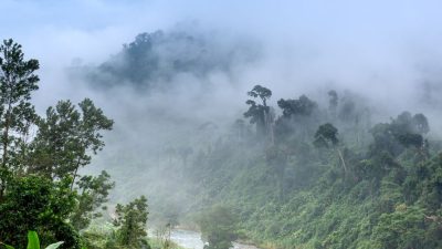 photo of river during daytime
