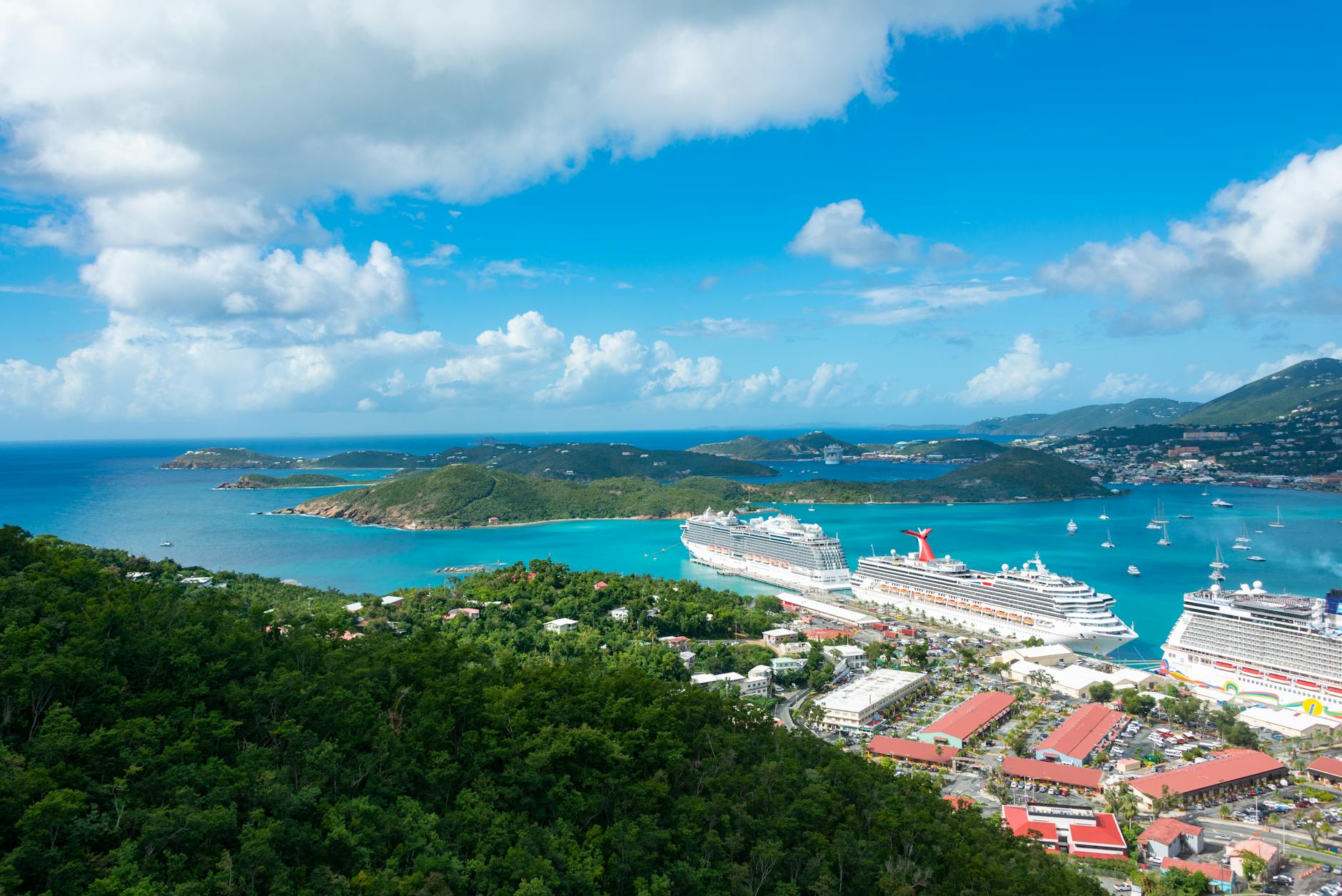 cruise ships in city bay