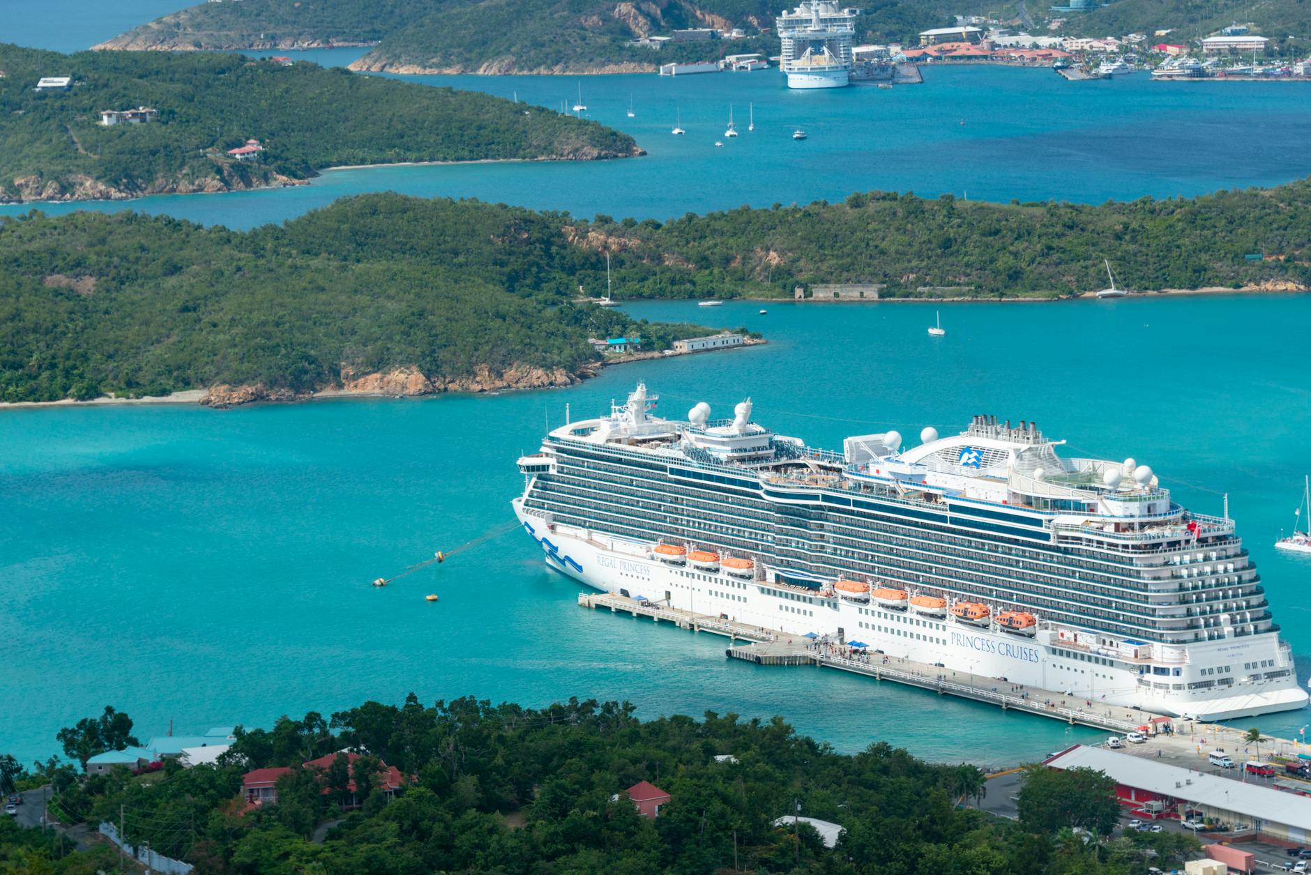 regal princess docked in a harbor