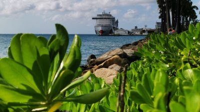 a cruise ship near the shore seen from behind a beach cabbage plant