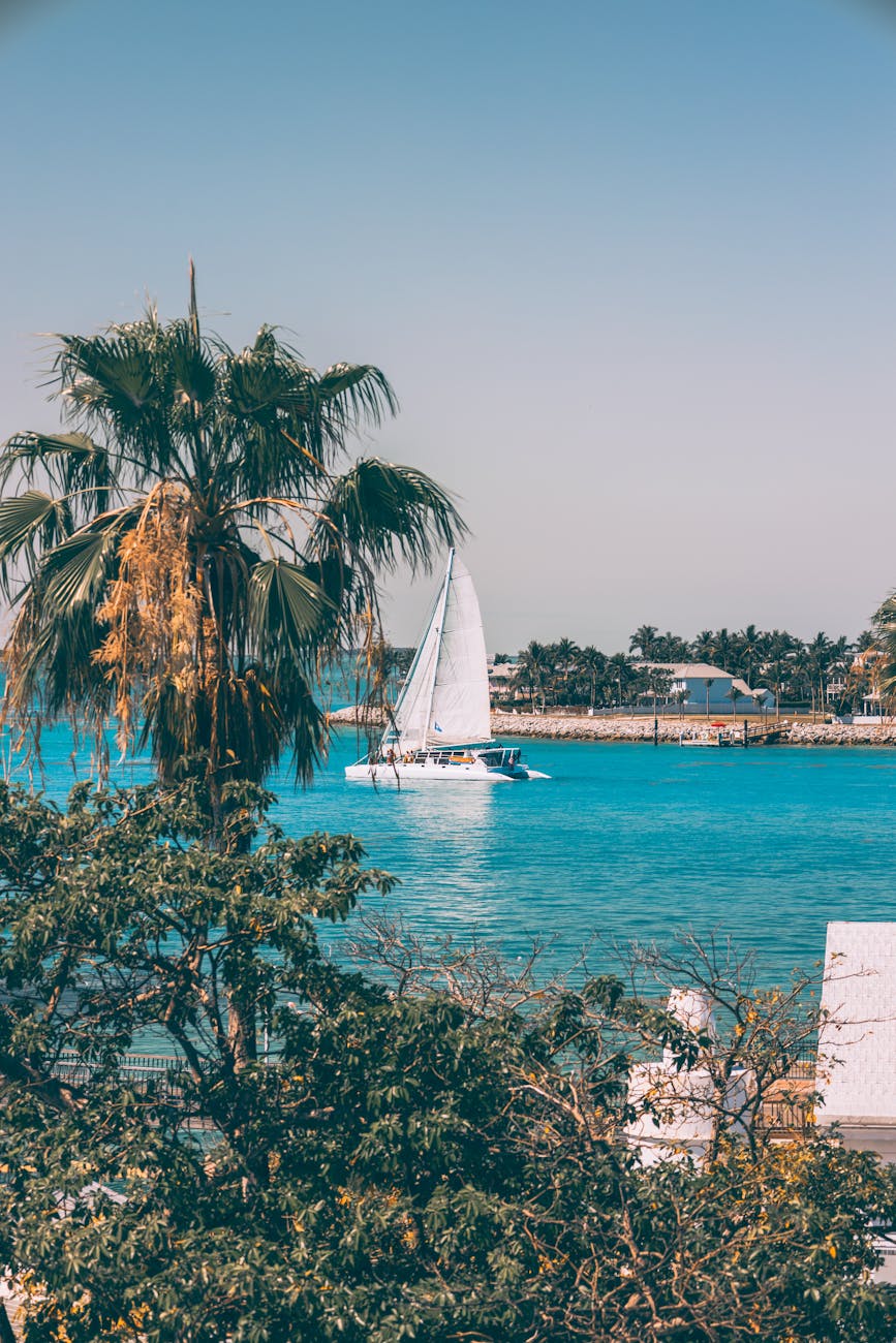 sailboat in blue sea