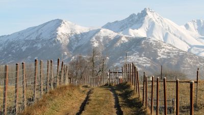 dirt road and mountain behind