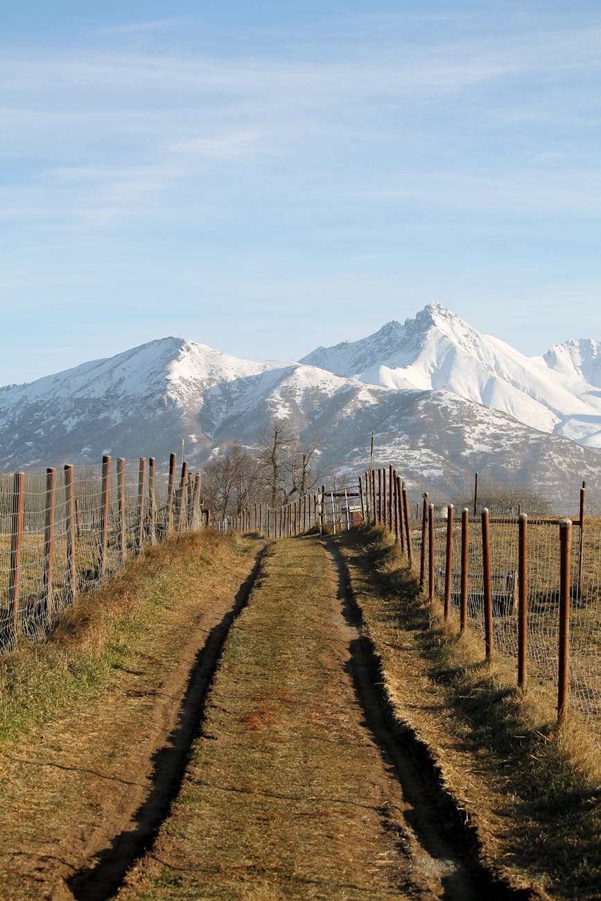 dirt road and mountain behind