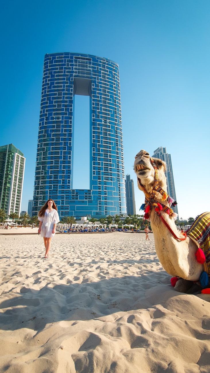 camel and woman on beach in dubai