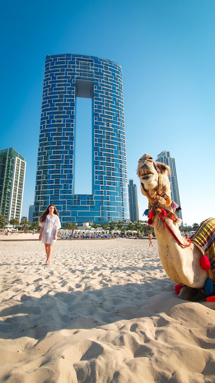 camel and woman on beach in dubai