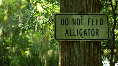 a sign on a tree