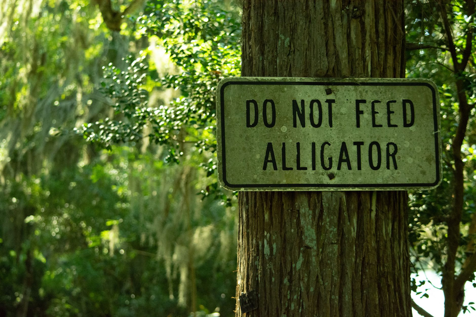 a sign on a tree