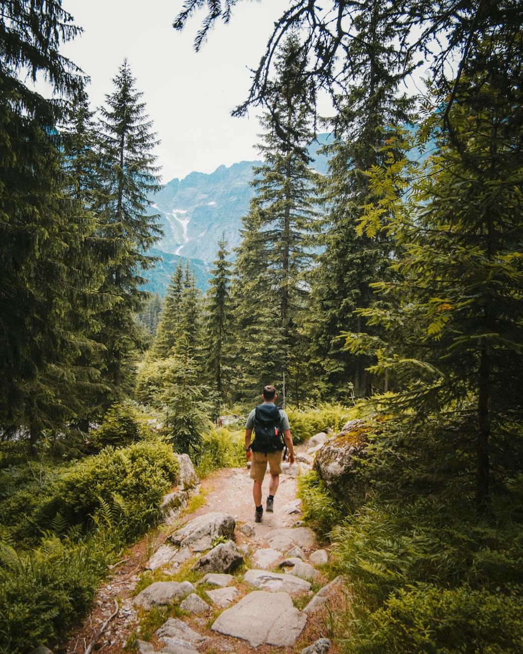 man walking on trail between trees