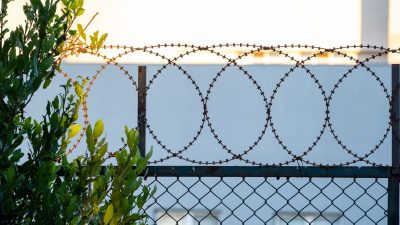 barbwire on fence