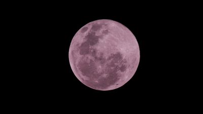 pink moon