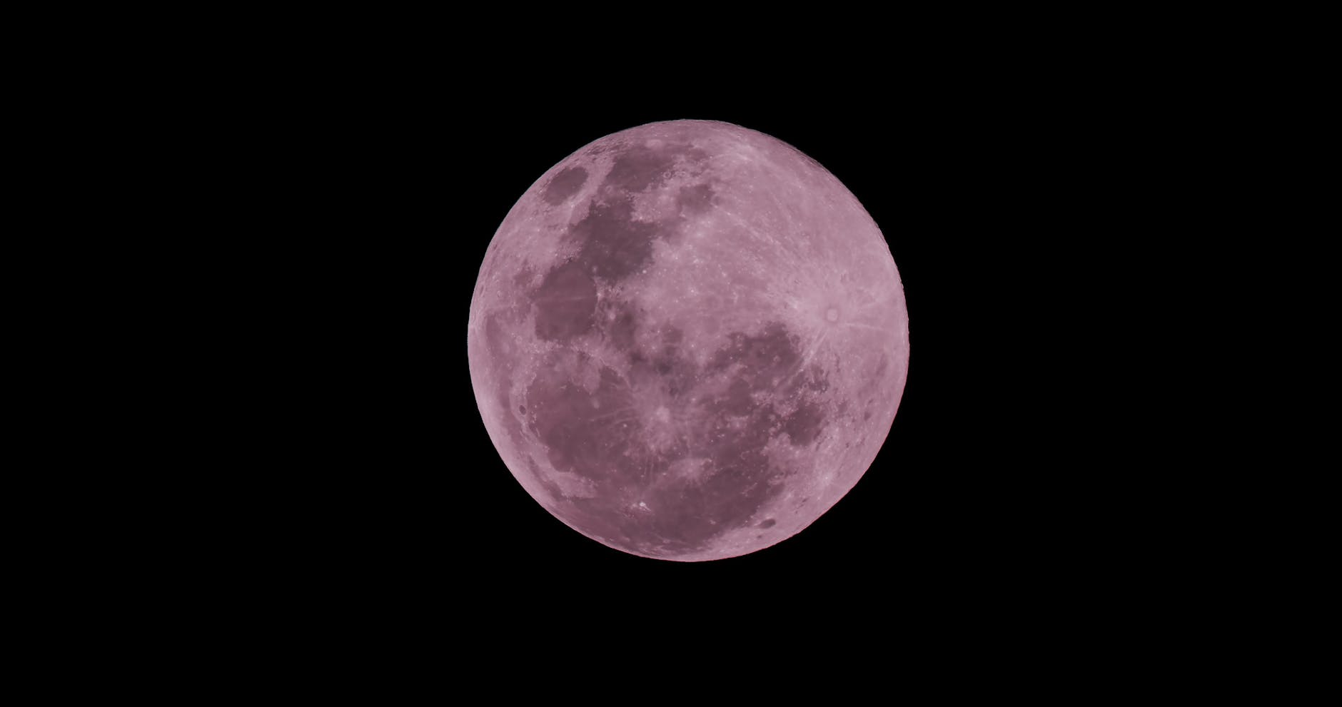 pink moon
