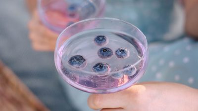 a woman holding a glass of wine with blueberries