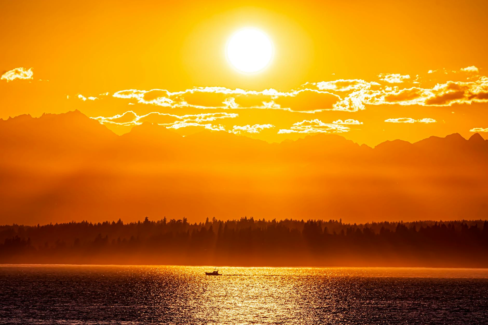 olympic national park