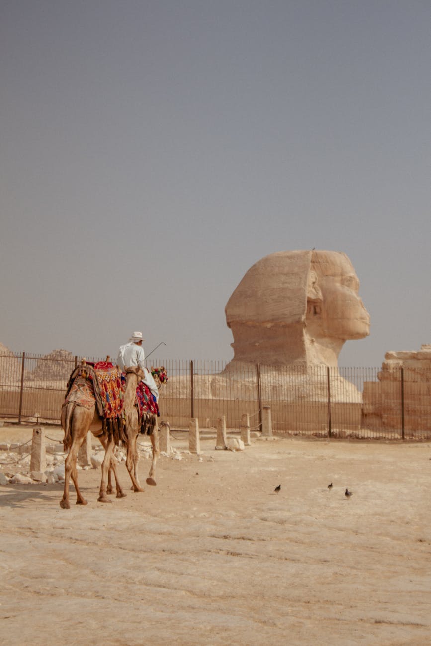 camel rider near great sphinx of giza