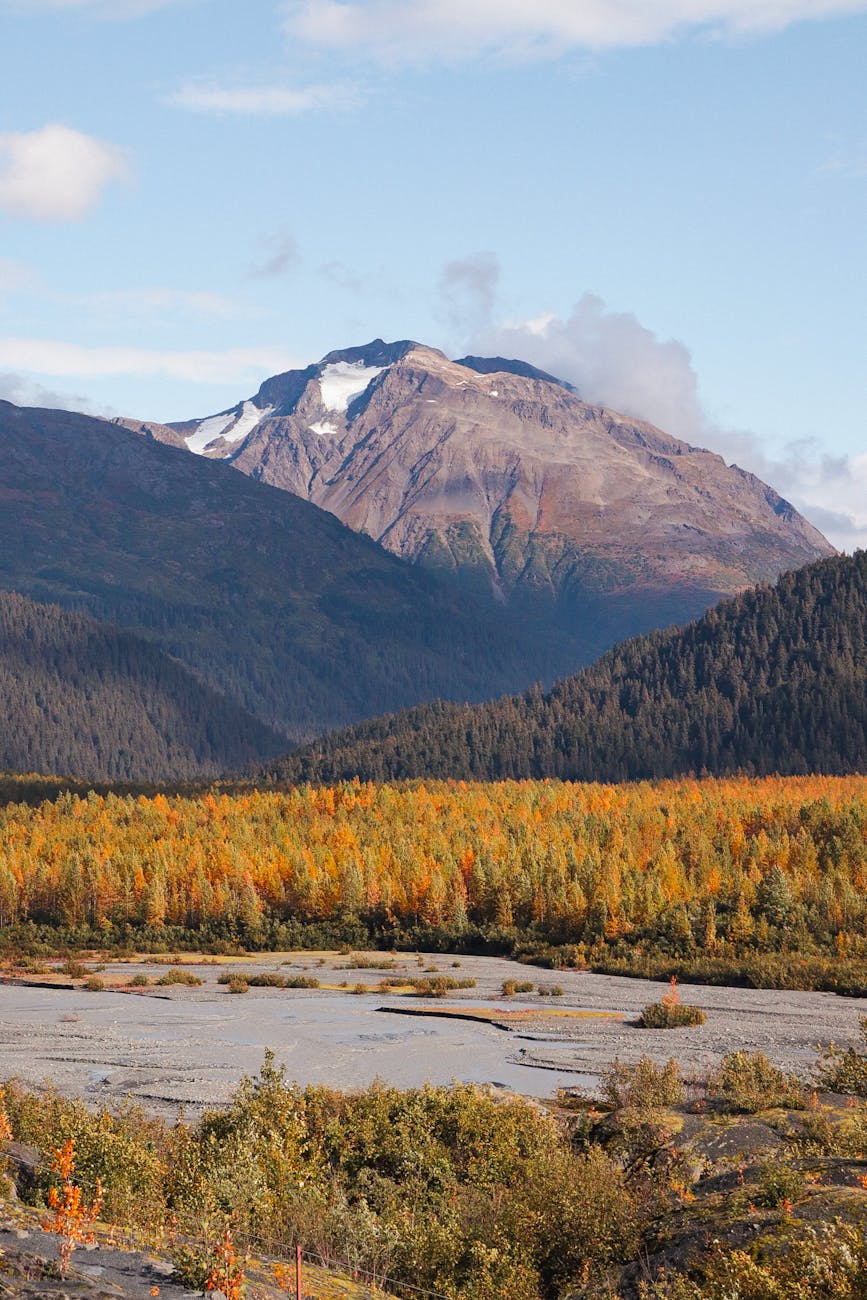 autumn landscape in seward alaska mountains