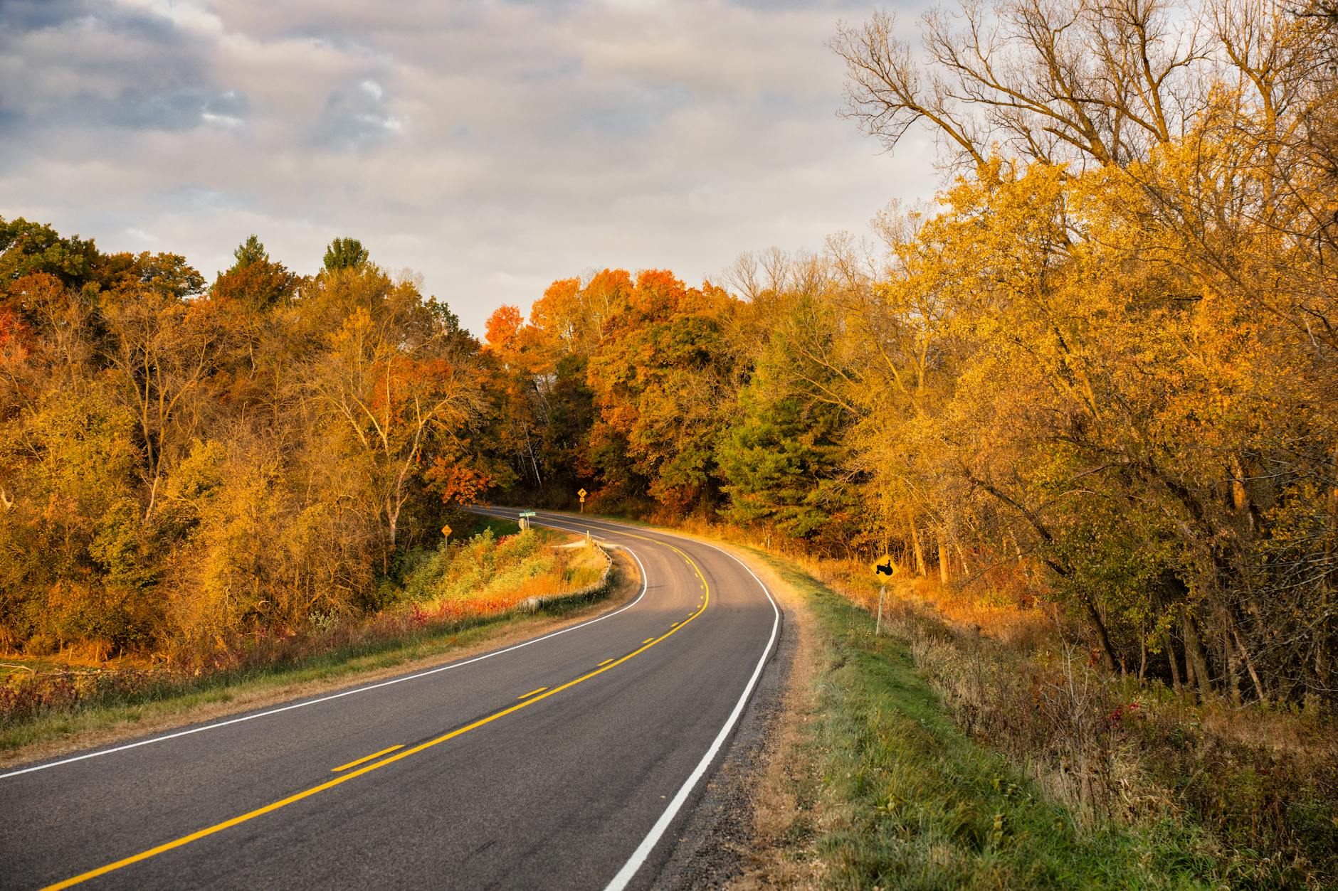 scenic autumn road in ella wisconsin