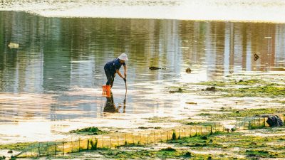 fisherman harvesting algae in quy nh n vietnam