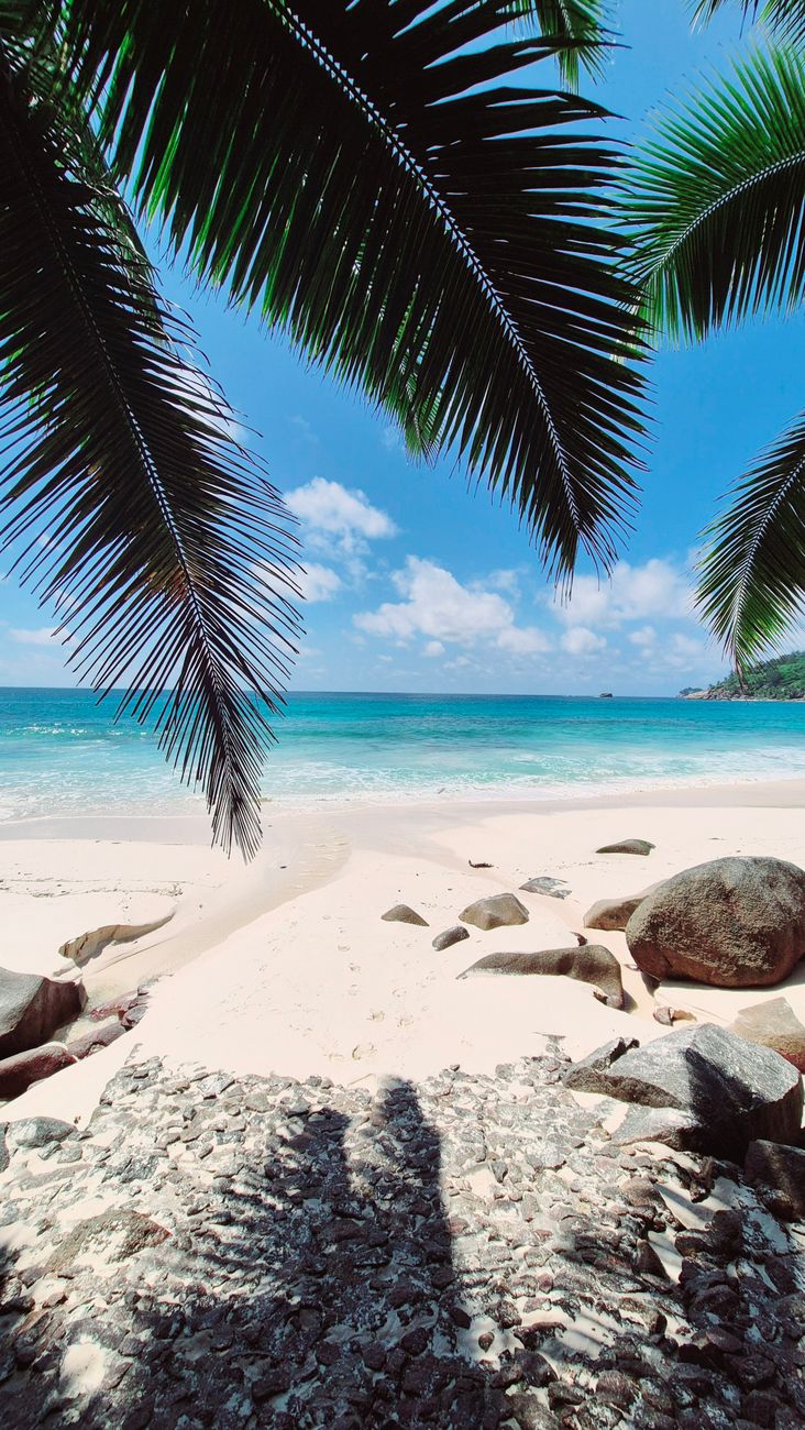 pristine beach view in seychelles paradise