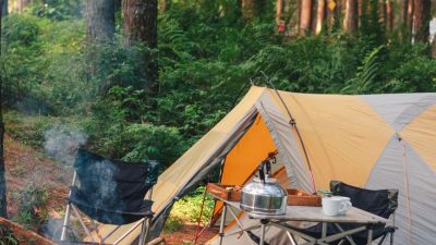 peaceful forest camping with tent and bonfire