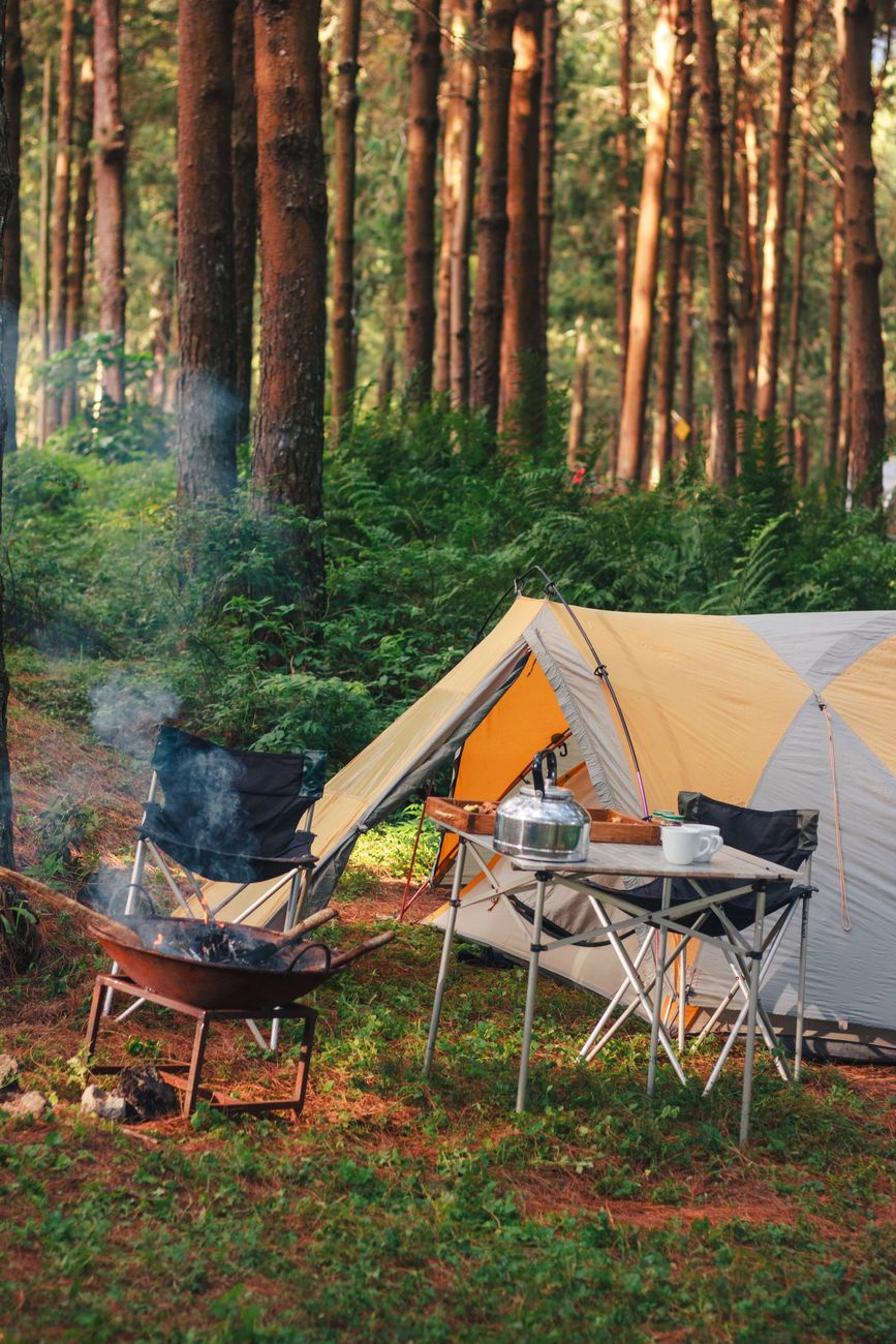 peaceful forest camping with tent and bonfire