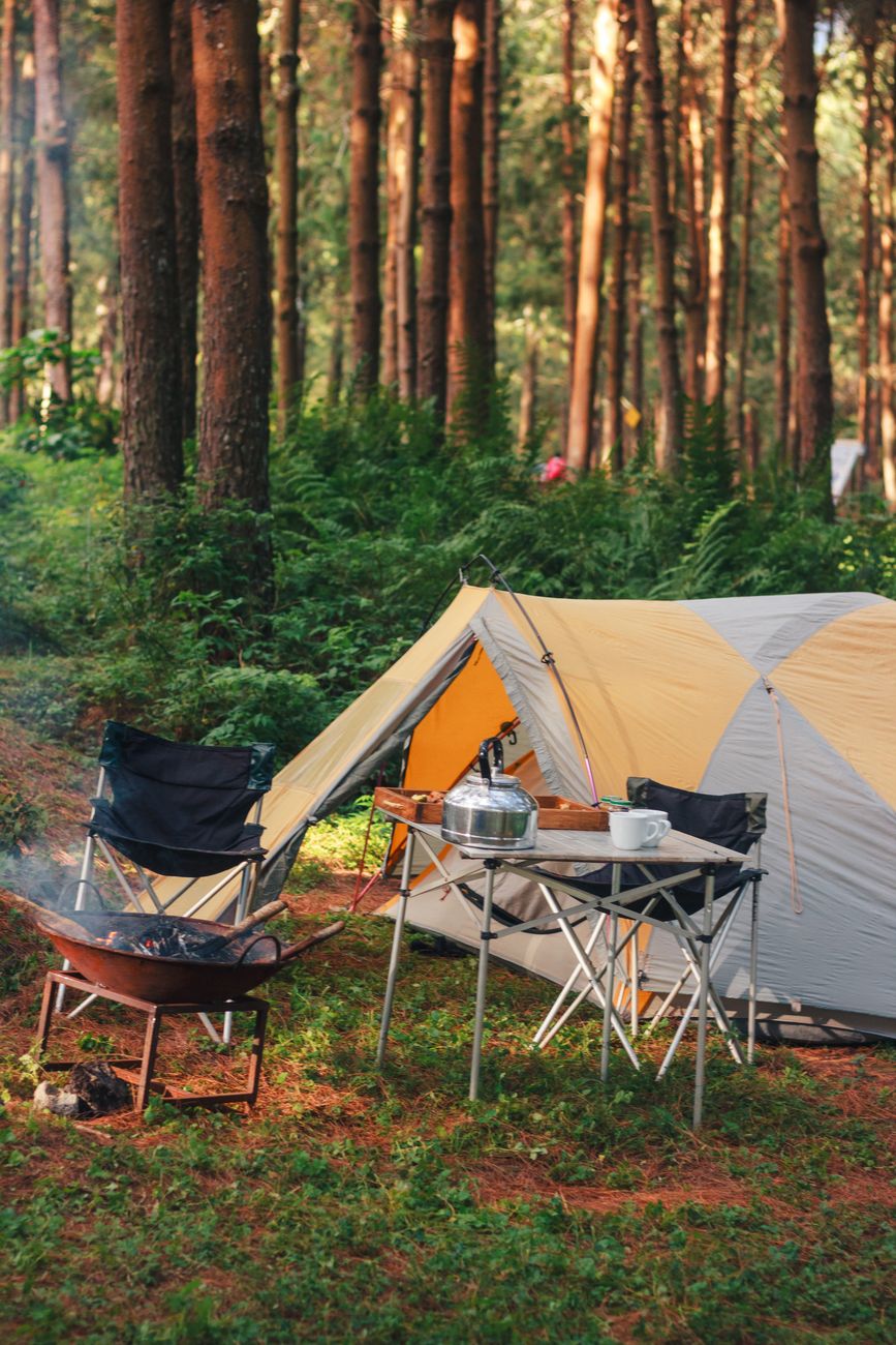 serene camping scene in forested area