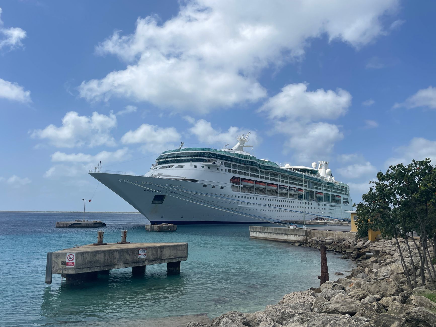 luxury cruise ship docked in tropical harbor