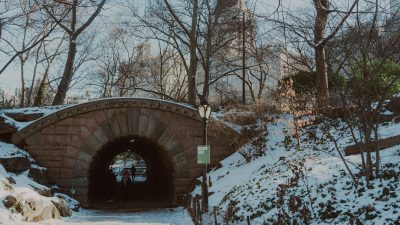 winter scene in central park with bridge and snow